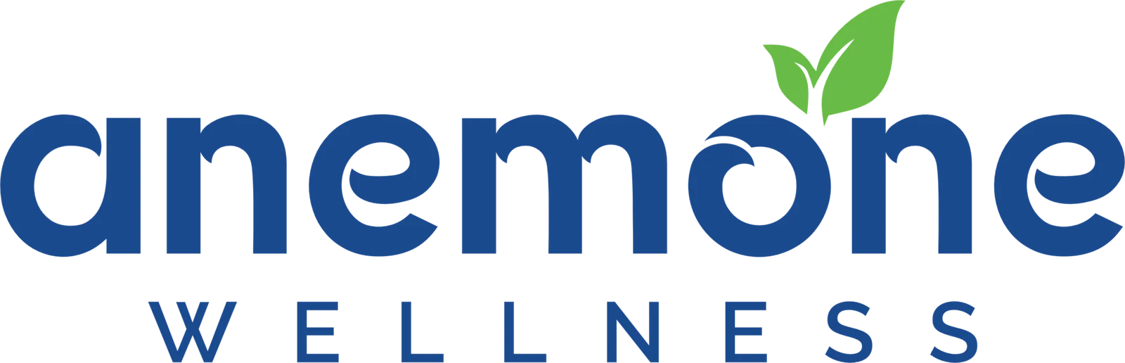 anemonewellness
