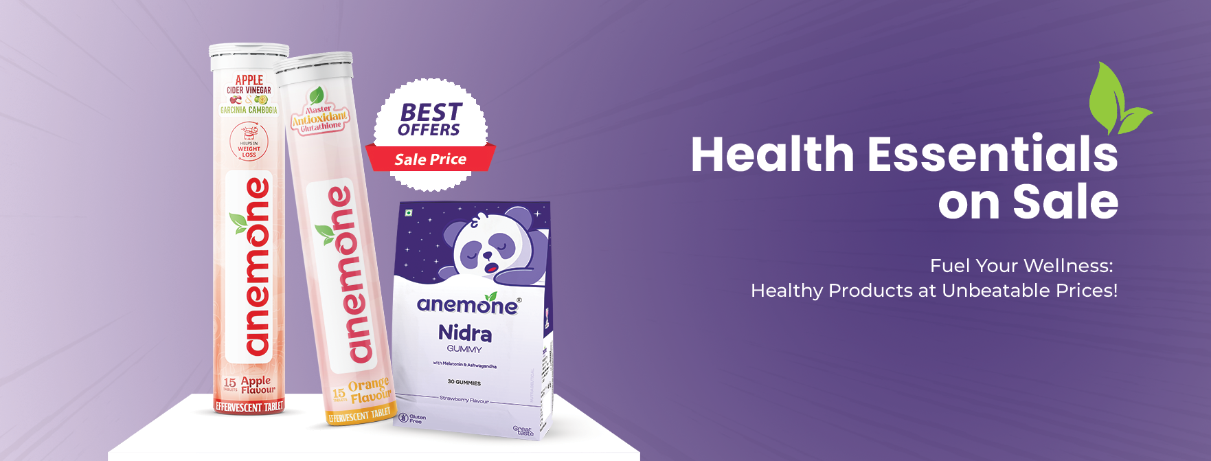 anemone-offer-banner-2.png